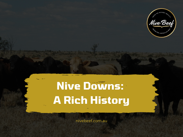 nive downs a rich history